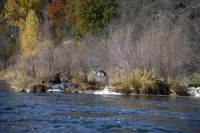 DSC_0244 (Large).JPG